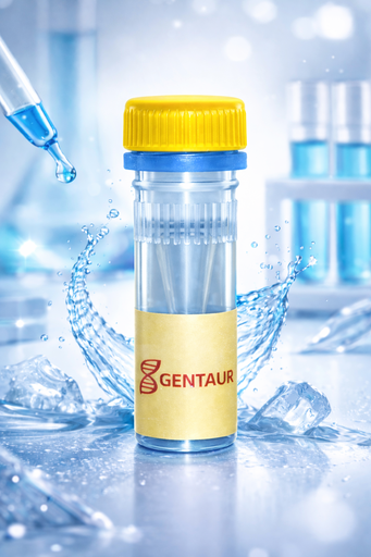 [SK1638] Malate dehydrogenase