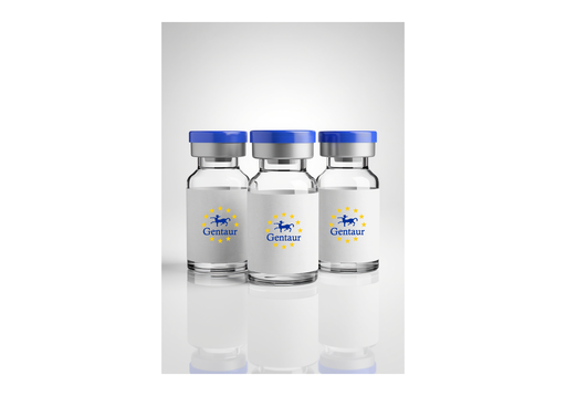 [GEN-Westmark2-36] Westmark II for Western Blot